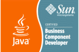 Sun Certified Java Business Component Developer